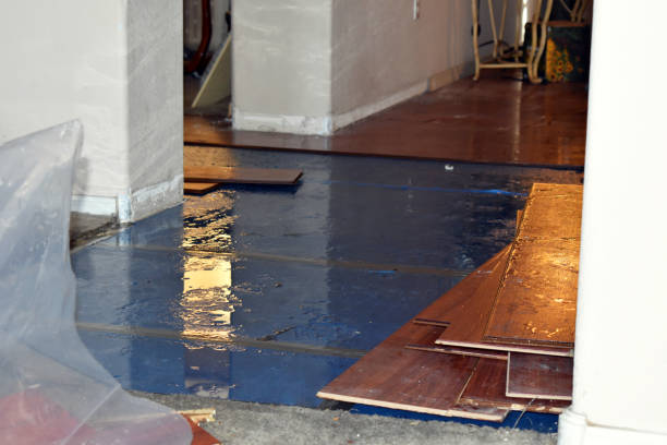 Professional Emergency Water Damage Restoration technician working in Nelsonville, WI